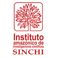 sinchi